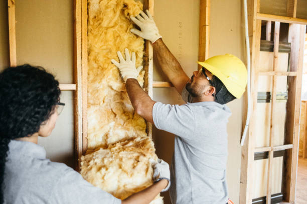 Best Insulation for New Construction  in Lafayette, OR